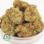 Order weed online Lemon Gelato strain budgetbuds and cheap weed. MMJ Express online dispensary. moon rock weed. weed delivery canada. indica strains.