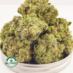 Sherbet strain cheap weed budget buds at MMJ Express online dispensary Canada to buy weed online. BC cannabis canada.