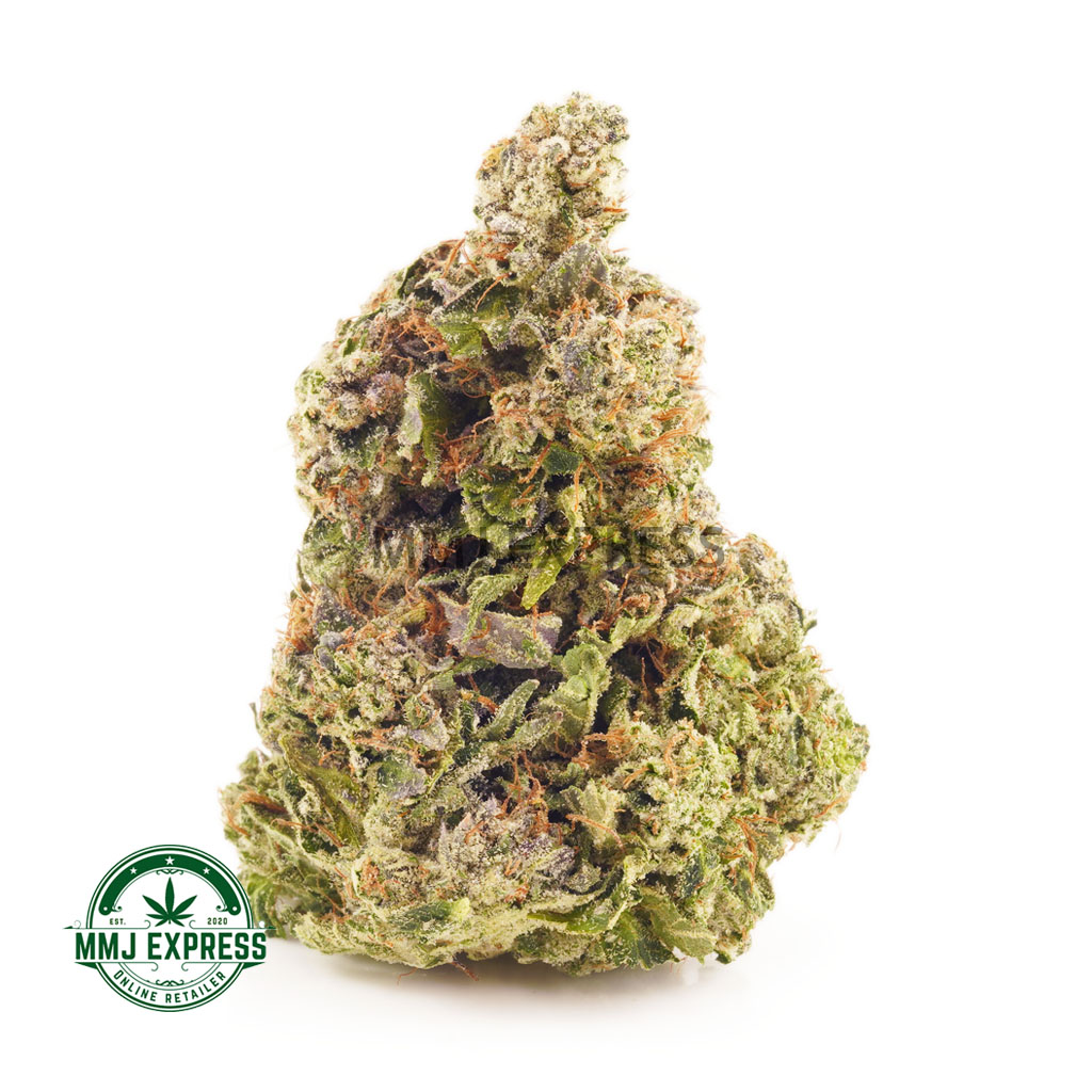 Buy apple fritter strain weed online Canada at MMJ Express online weed dispensary. cannabis stores. weed delivery canada. weed online. dispenseries.