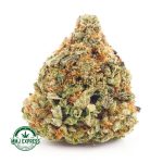 Buy Cookie Pebbles weed online Canada at top mail order marijuana online dispensary MMJ Express BC cannabis pot store.