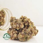 Buy Cannabis Jelly Breath AAAA+ at MMJ Express Online Shop