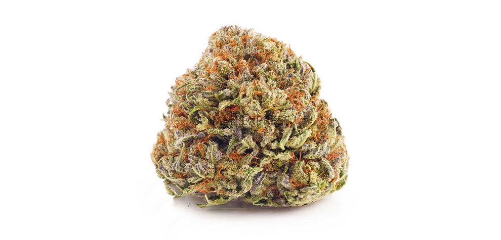 Buy Blackberry Kush weed online Canada from MMJ Express online dispensary for BC cannabis. Buy weed.