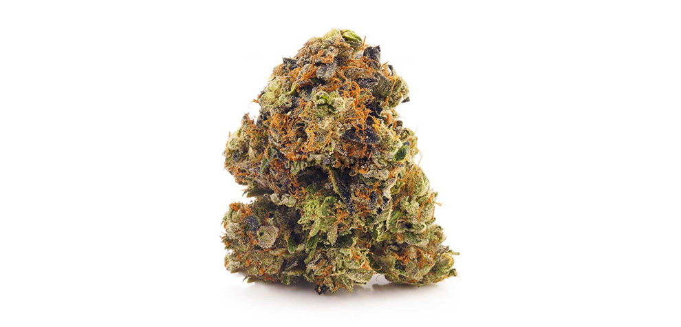 Blueberry Kush budget buds from online dispensary Canada MMJ Express mail order weed shop. 