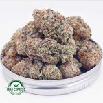 Buy Cannabis Guava Cake AA at MMJ Express Online Shop