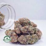 Buy Cannabis Guava Cake AA at MMJ Express Online Shop