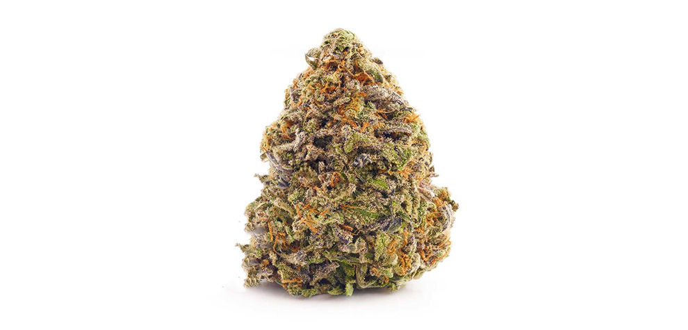 Budget Buds of Durban Poison for sale at the top mail order marijuana online dispensary Canada to buy weed online.