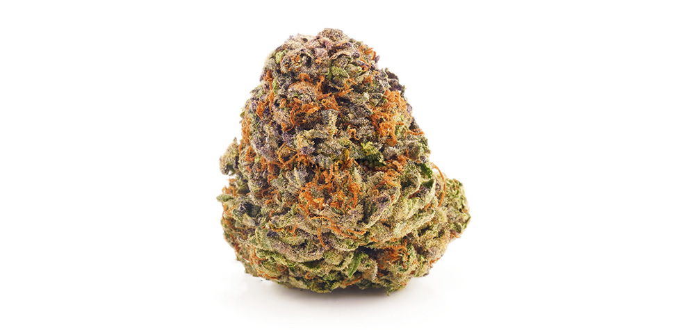 Gorilla Glue budget buds and cheap weed online Canada. best dispenseries for BC cannabis and hash online. 