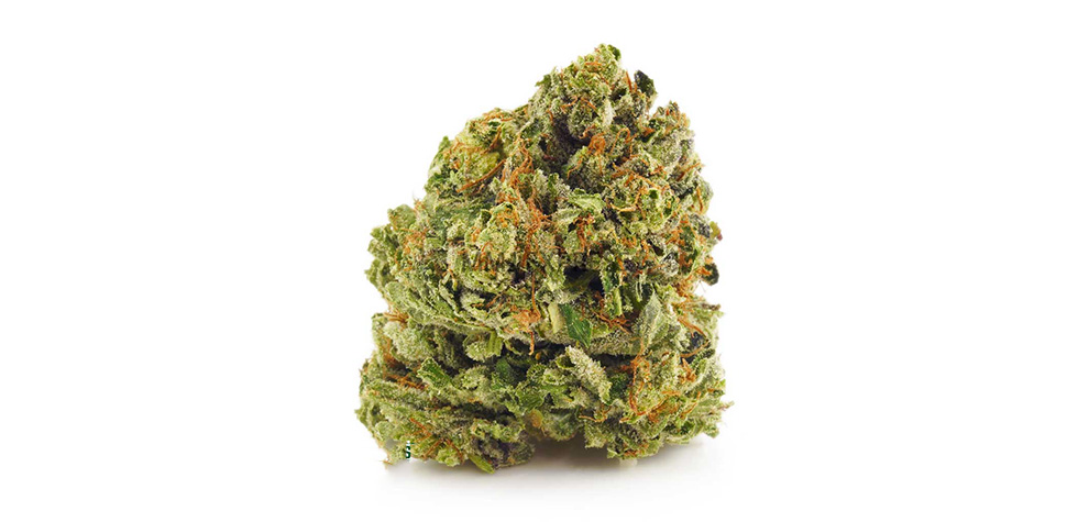 Platinum Rockstar weed online Canada. Buy strongest indica strains from mail order weed dispensary MMJ Express. Budgetbuds.
