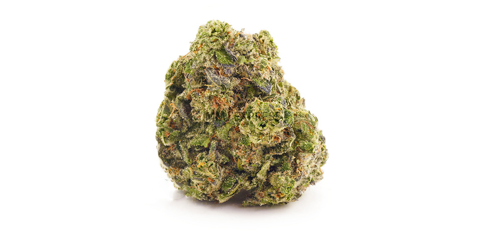 Sunset Sherbet budget buds. BC cannabis. Cheap weed Canada. Buy weeds online. pot store.