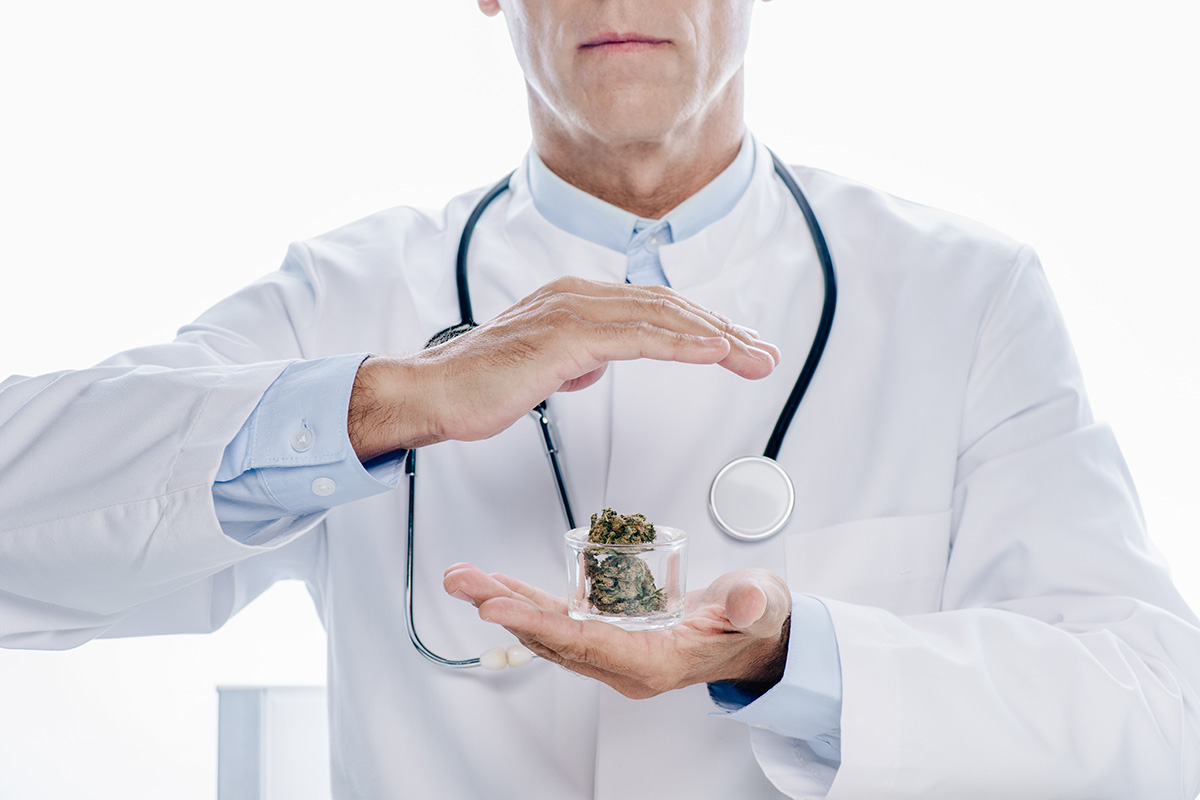 doctor with cannabis buds. benefits of weed. buy weed online.
