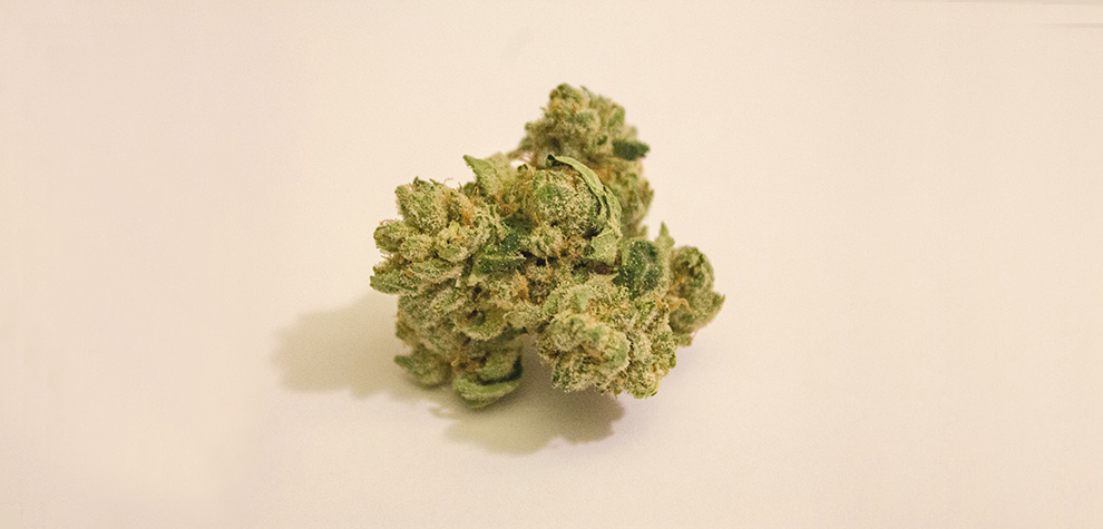Powdered Donut strain budget buds from MMJ express online dispensary Canada to buy weed online.