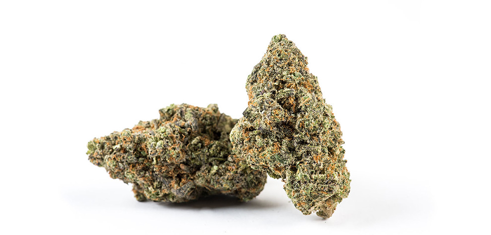 cheap weed budget buds from MMJ Express online dispensary Canada. buy weed. ontario marijuana. canada weed. 