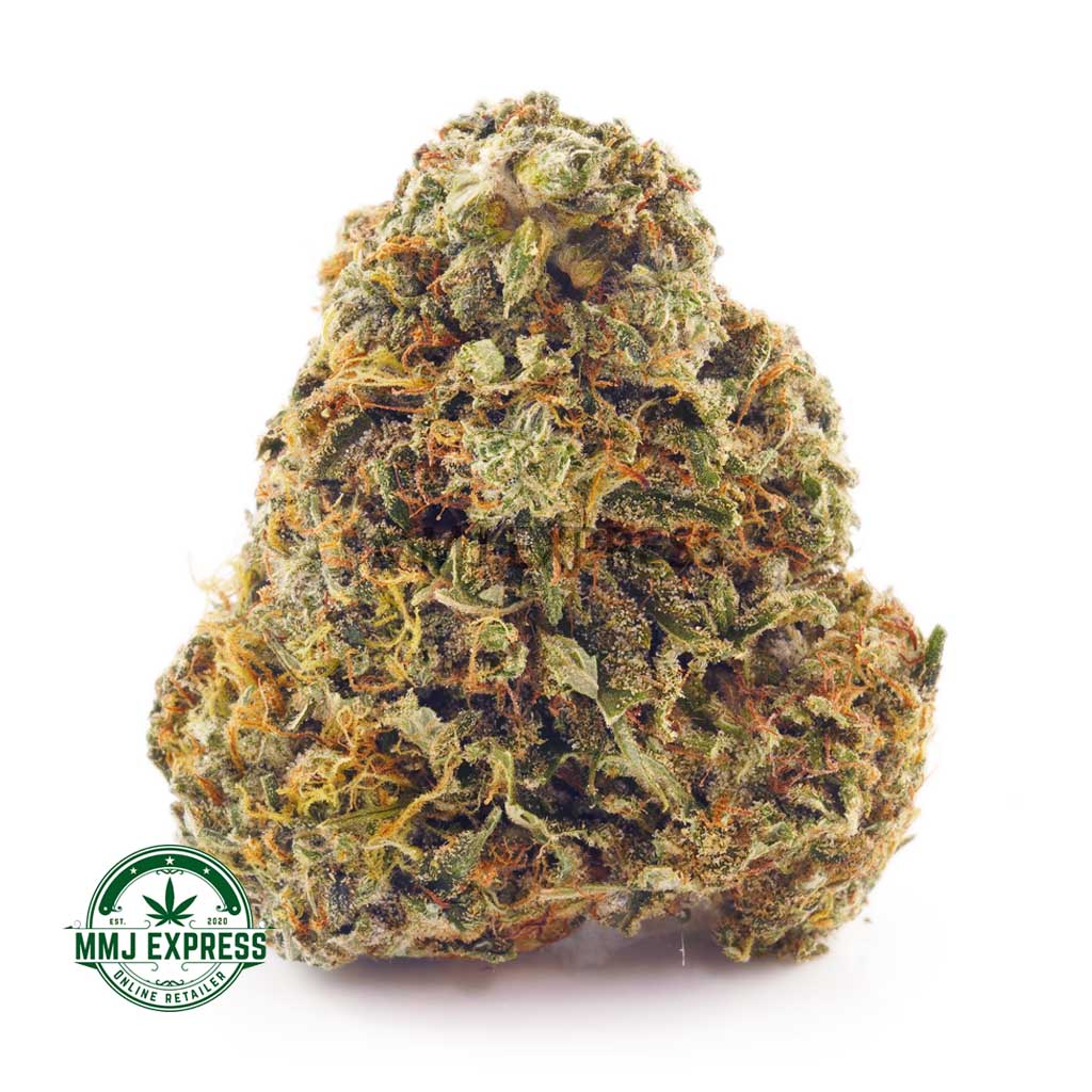 Buy Master Tuna weed online Canada. buy weeds online. pot shop. cannabis dispensary. weed delivery canada. bc cannabis stores. sativa strains. kief. MMJ.