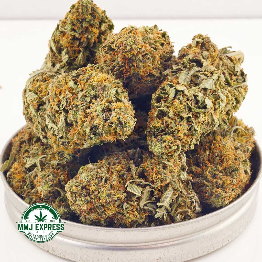 Buy Master Tuna budget buds cheap weed Canada at MMJ Express online dispensary Canada. dispensary. buy online weeds.