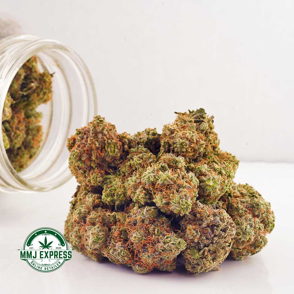 Order weed online Papaya Punch budget buds BC cannabis at MMJ Express online dispensary Canada. buy weed. ontario marijuana. canada weed.