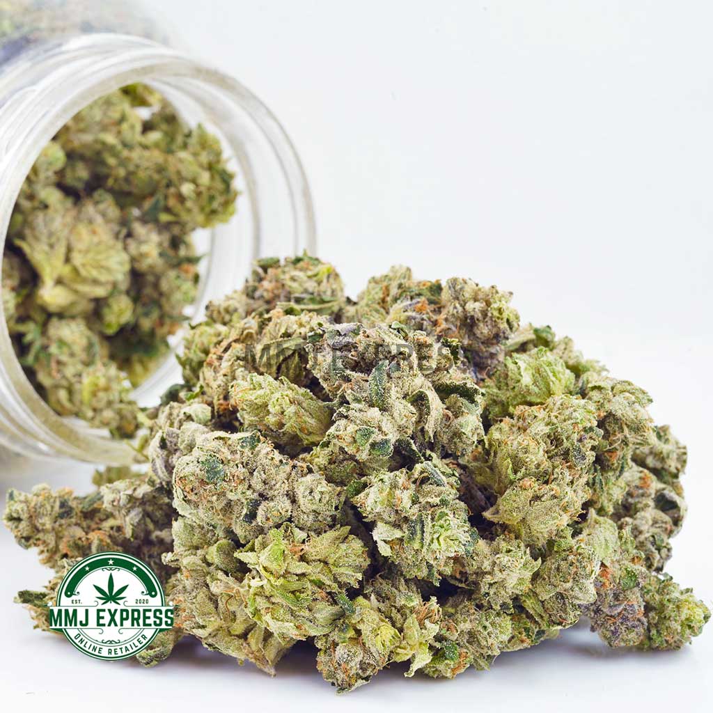 Buy Cannabis Cali Bubba AAAA (Popcorn) at MMJ Express Online Shop