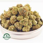 Buy Cannabis Night Nurse AAAA (Popcorn Nugs) MMJ Express Online Shop