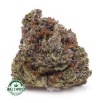 Buy Cannabis Gary Payton AAAA at MMJ Express Online Shop