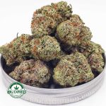 Buy Cannabis Gary Payton AAAA at MMJ Express Online Shop