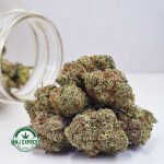Buy Cannabis Gary Payton AAAA at MMJ Express Online Shop