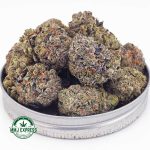 Buy Cannabis Grape Ape AAA MMJ Express Online Shop