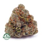 Buy Alien OG AAAA Cannabis at MMJ Express Online