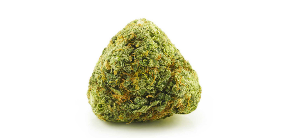 Buy weed Blue Gelato Strain at MMJ Express dispensary for BC cannabis. BC buds online. mail order cannabis canada. concentrates canada. Dispensary.