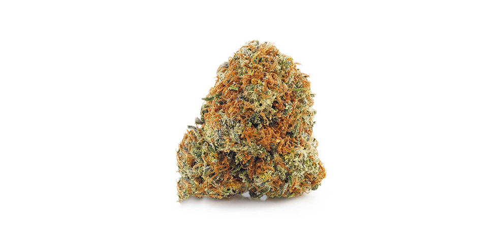 Buy Gelato 33 Strain weed online Canada. Budget Buds from MMJ Express dispensary to buy weed. Gelato weed.