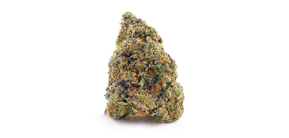 Gas Leak Hawaiian Pink Punch weed online Canada. Marijuana strains for daytime use. Online dispensary Canada.
