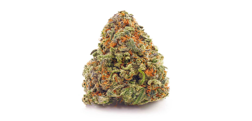 Hawaiian Snow marijuana strain budget buds. cannabis stores. weed delivery canada. weed online. dispenseries.