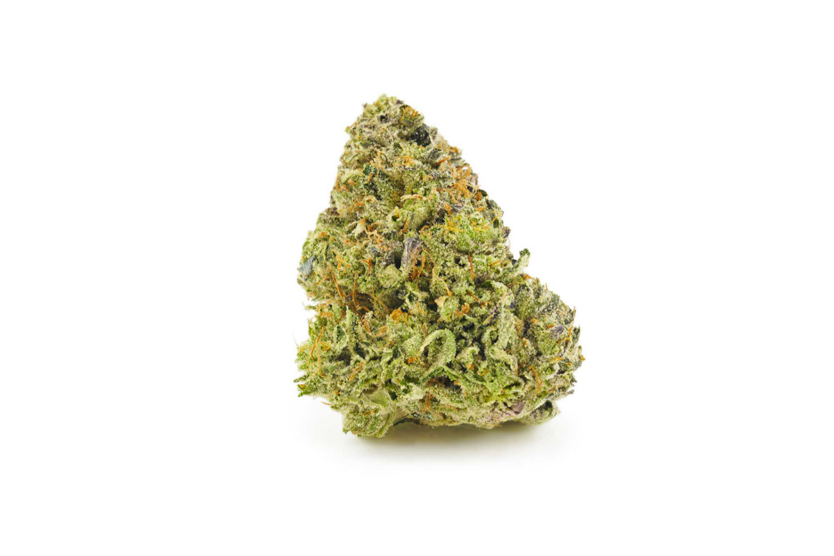Jet Fuel Gelato strain budget buds at MMJ Express dispensary to buy weed online Canada.