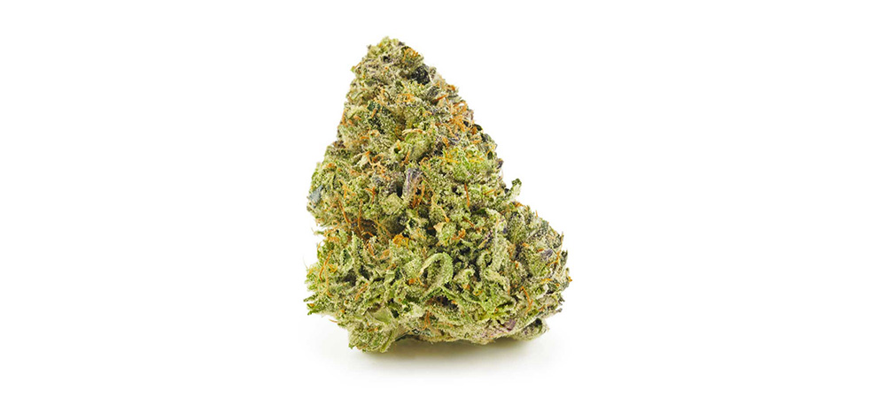 Buy Jet Fuel Gelato weed online in Canada at MMJ Express dispensary for BC buds online. Budget Buds. Cheap weed Canada.