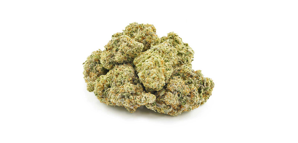 Miracle Alien Cookies weed online Canada. MAC weed strain. marijuana strains for daytime use. buy weed online Canada.