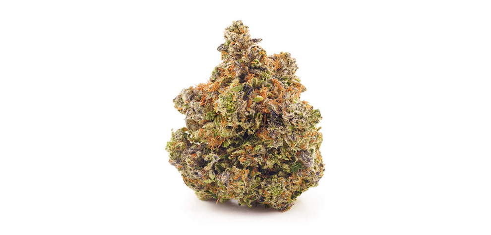 Tom Ford Strain; 8 Facts To Know About This Delicious Bud