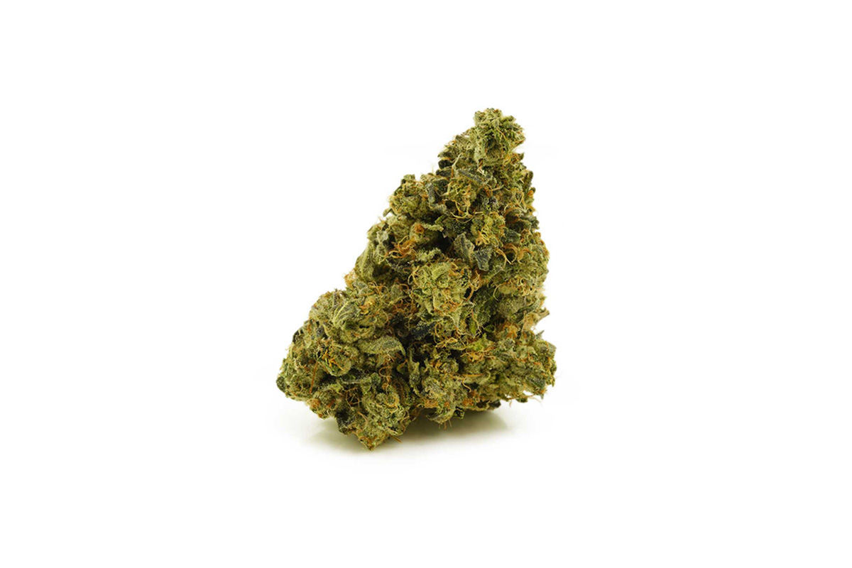 Tom Ford Strain; 8 Facts To Know About This Delicious Bud