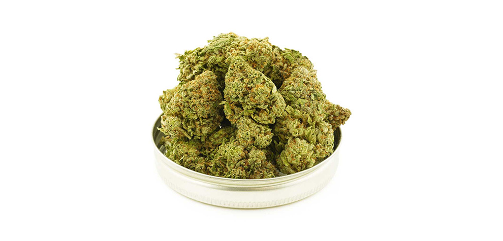 Blue Gelato weed budget buds from MMJ Express online dispensary Canada to buy weed online. pot store for weed vapes and vape pens. weed pens. Dispensary.