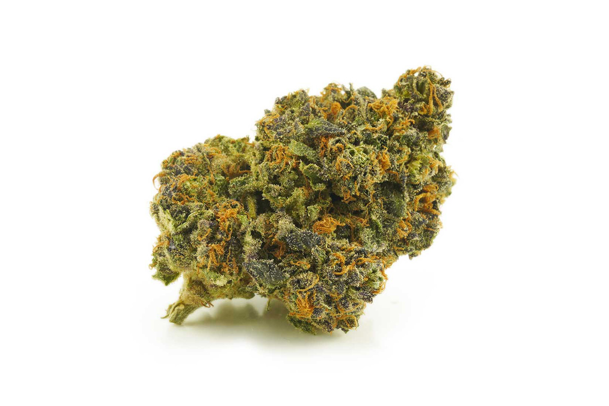 Buy Gelato weed at MMJ Express dispensary for BC cannabis and weed online Canada.