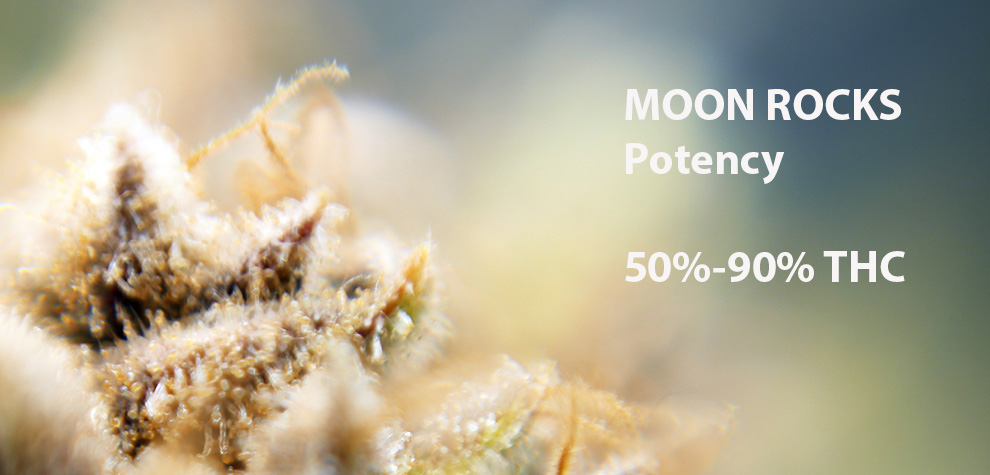 Close up image of terpenes on moon rock weed. THC levels of moonrocks from MMJ Express online dispensary Canada.