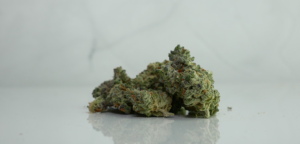 Bruce Banner weed budget buds from MMJ Express online dispensary Canada for budget buds and cheap weed online.