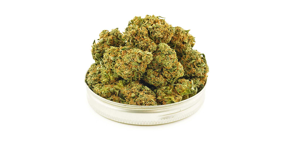 Tuna Kush AAAA weed from MMJ Express mail order marijuana online dispensary Canada.