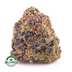 Buy Cannabis Rock Tuna AAA at MMJ Express Online Shop