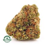 Buy Cannabis Kush Breath AA at MMJ Express Online Shop