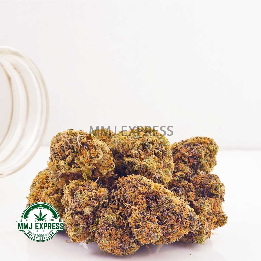 Buy Cannabis Gelato AAAA at MMJ Express Online Shop