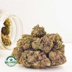 Buy Cannabis Pink Rockstar AA at MMJ Express Online Shop