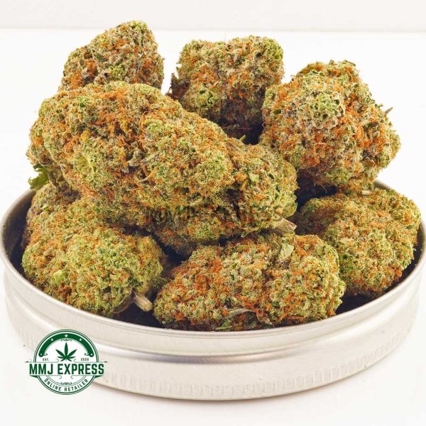 Buy Cannabis Moby Dick AAA at MMJ Express Online Shop