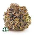Buy Cannabis Mike Tyson AAAA at MMJ Express Online Shop
