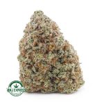 Buy Cannabis Blue Cheese AA at MMJ Express Online Shop