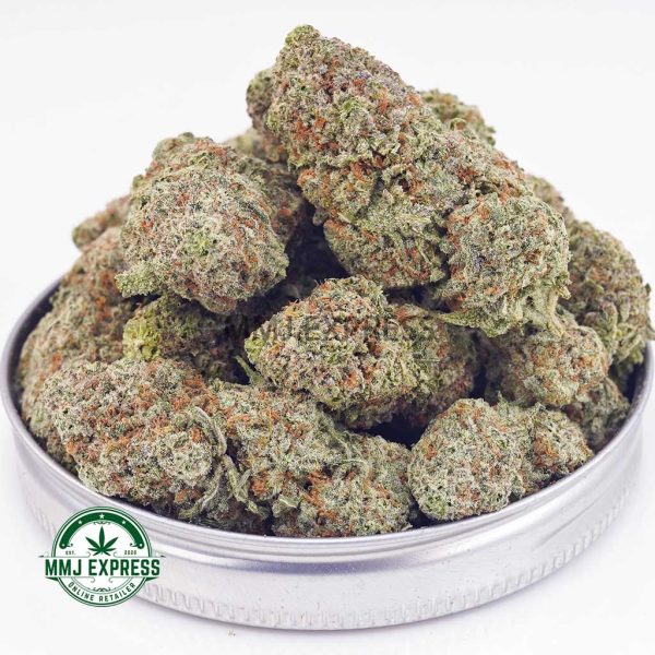 Buy Cannabis Blue Cheese AA at MMJ Express Online Shop