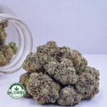 Buy Cannabis Blueberry OG AAA at MMJ Express Online Shop
