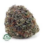 Buy Cannabis White Russian Cream AAAA at MMJ Express Online Shop
